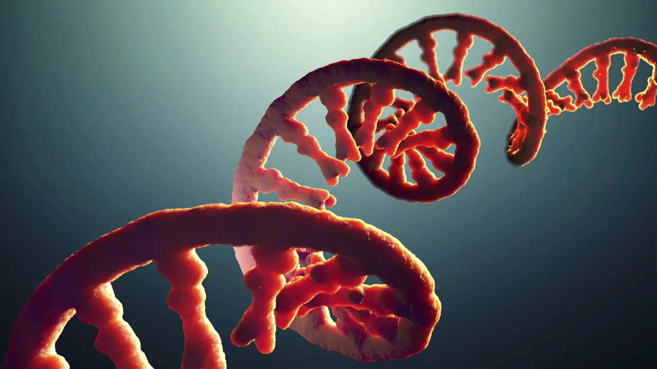 Imagem ilustrativa: Herança além do DNA: Como o exercício do pai 'tuna' a saúde dos filhos