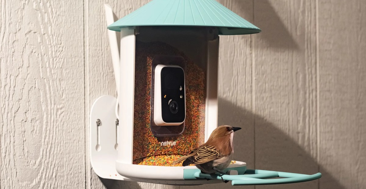 Imagem ilustrativa: Birdfy Feeder AI: por que o preço de $149,99 pode mudar a forma de observar aves