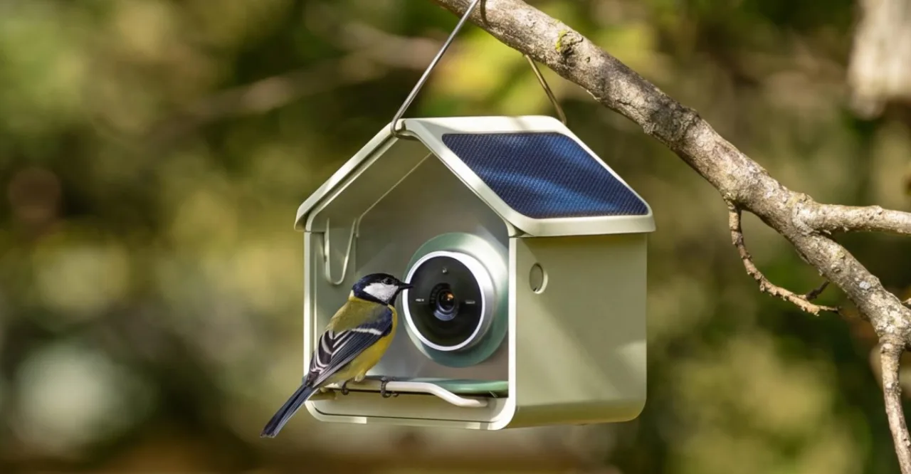 Birdbuddy Nook, alimentador inteligente compacto branco com tela e câmera, cercado por pássaros no jardim