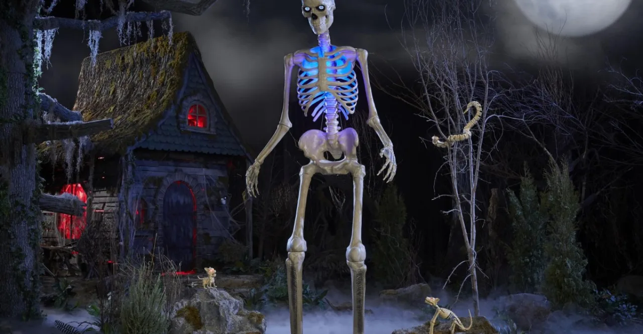 Imagem ilustrativa: Skelly 12 pés da Home Depot: vale a pena o upgrade ou é só hype?