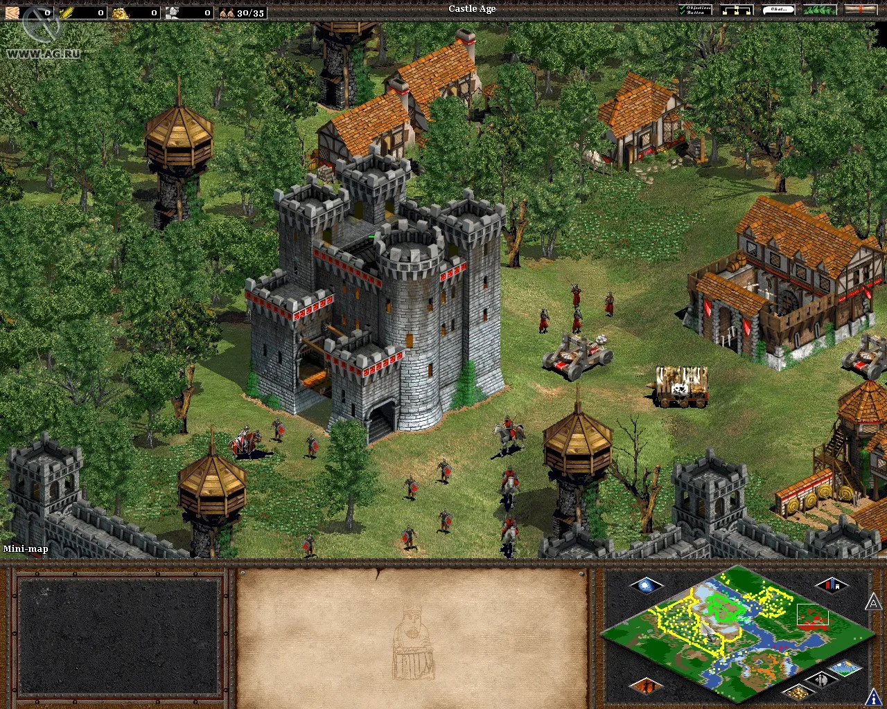 Cena do jogo Age of Empires II