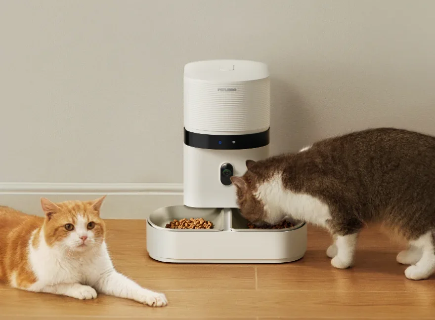 Imagem ilustrativa: Petlibro: falha na nuvem deixa alimentadores inteligentes offline – o que aconteceu?