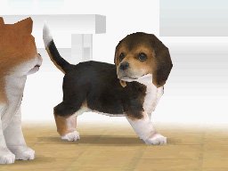 Imagem relacionada a Nintendo — Tomodachi Life no Switch 2: 40% dos jogadores já migraram para o novo