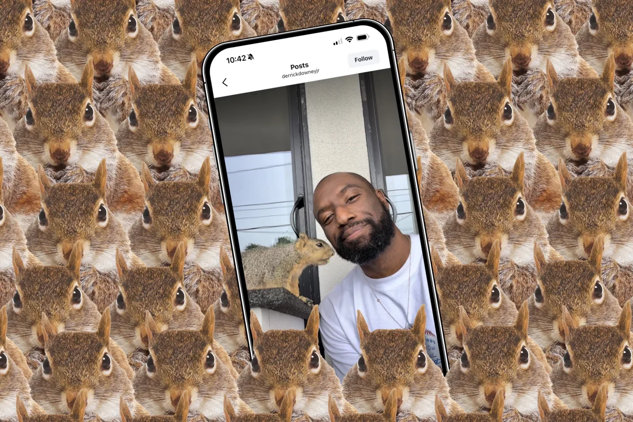 Imagem ilustrativa: Do resgate viral ao topo da App Store: como o "pai de esquilo" criou o app de câmera mais cobiçado d